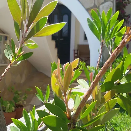 Koxyli Village & דירה